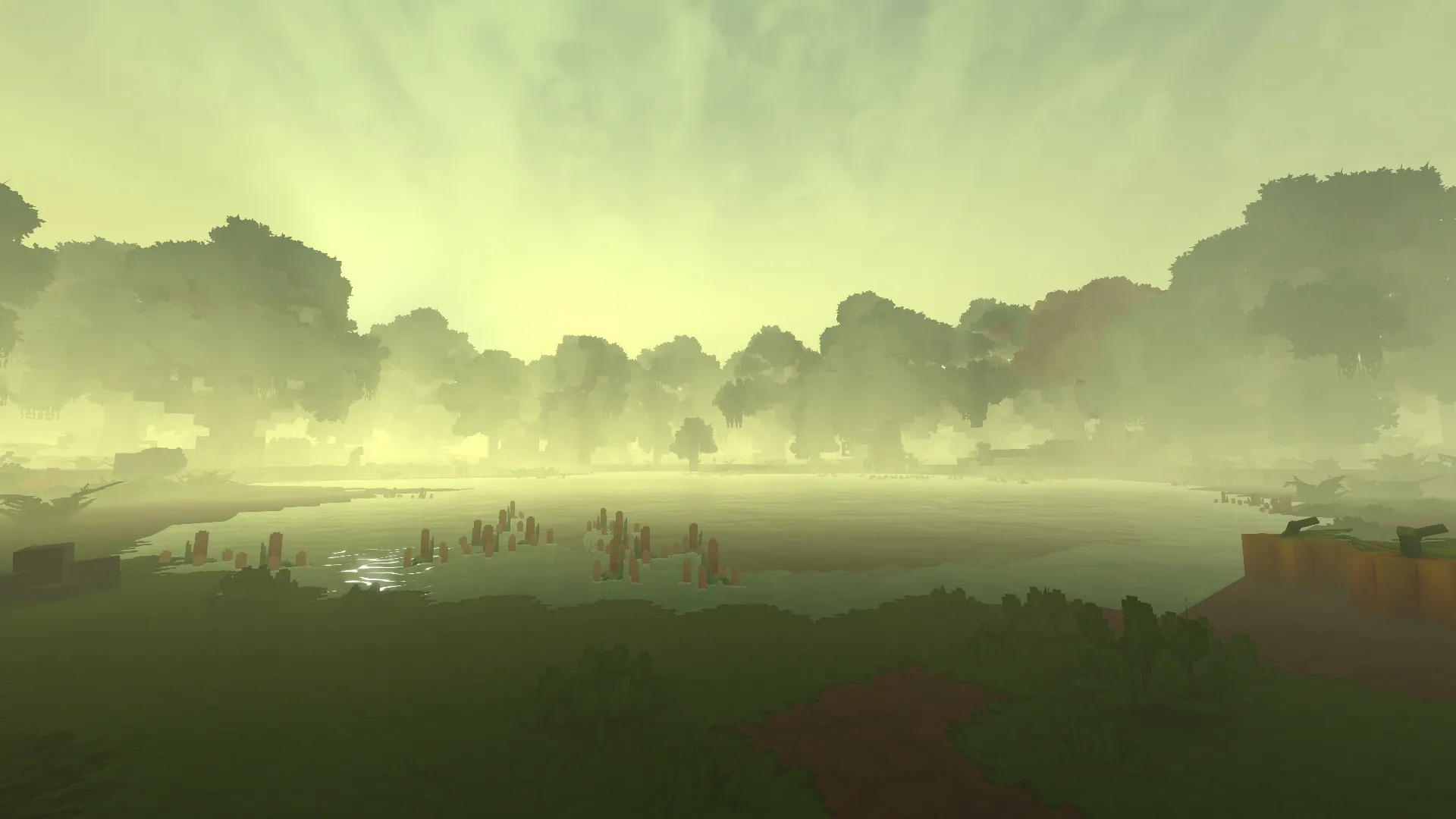 Morning Mist in the Swamp