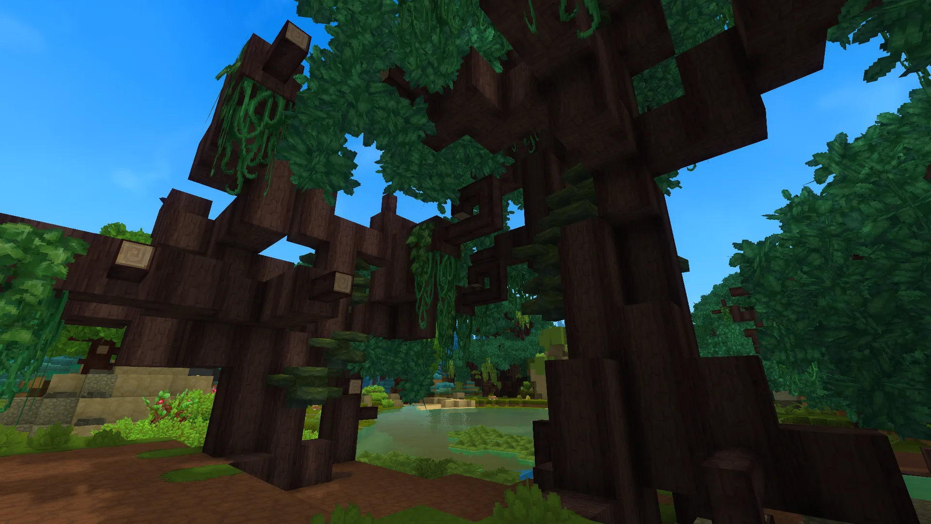 Beneath the Swamp Canopy