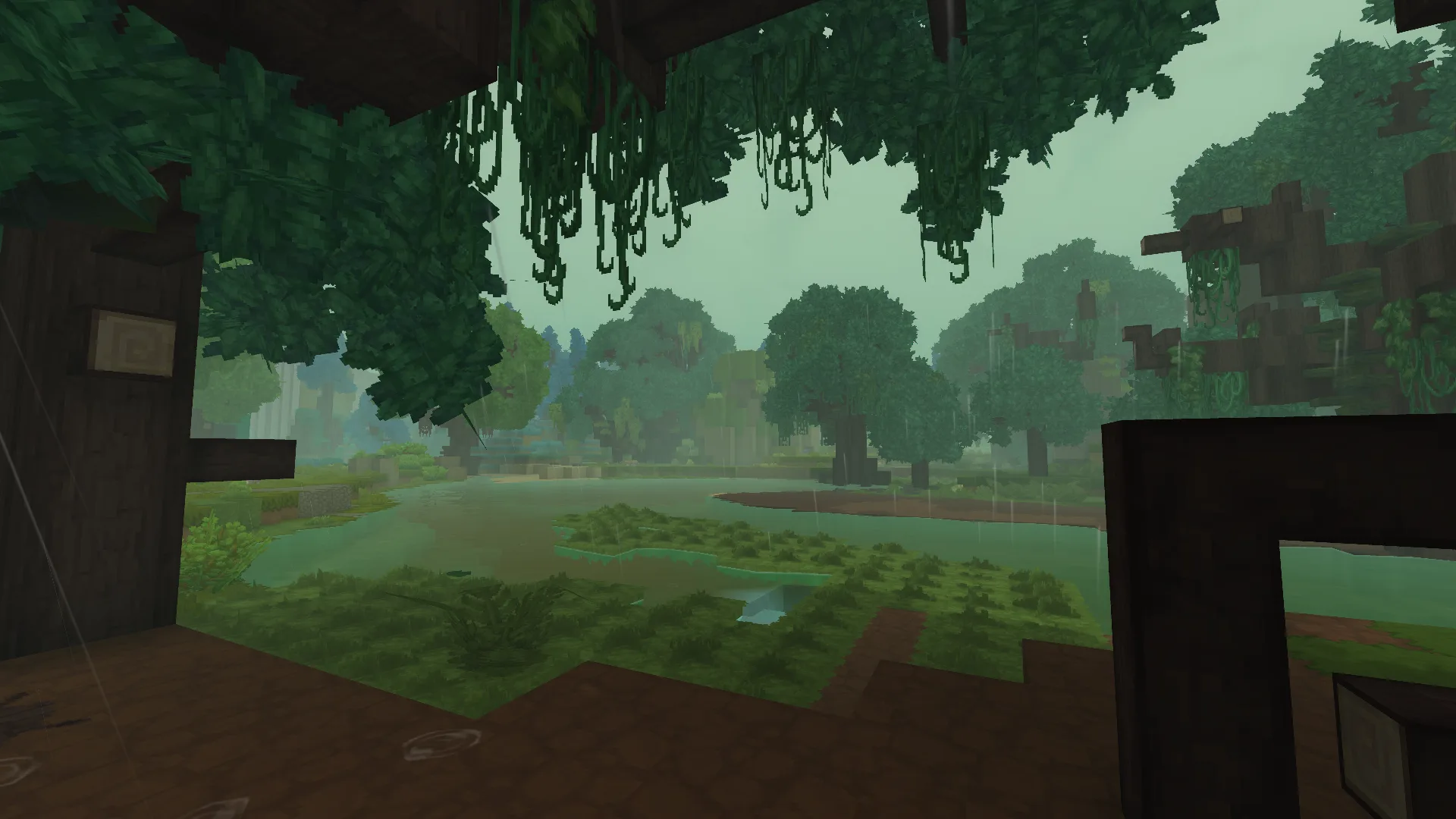 Rain in the Swamp Description: