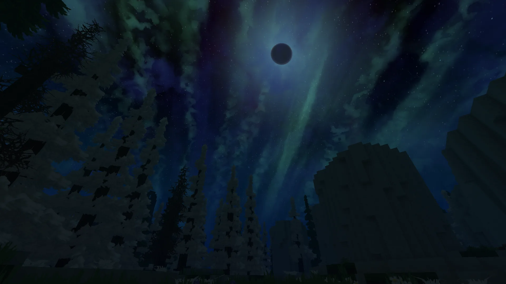 Aurora Over the Frozen Forest