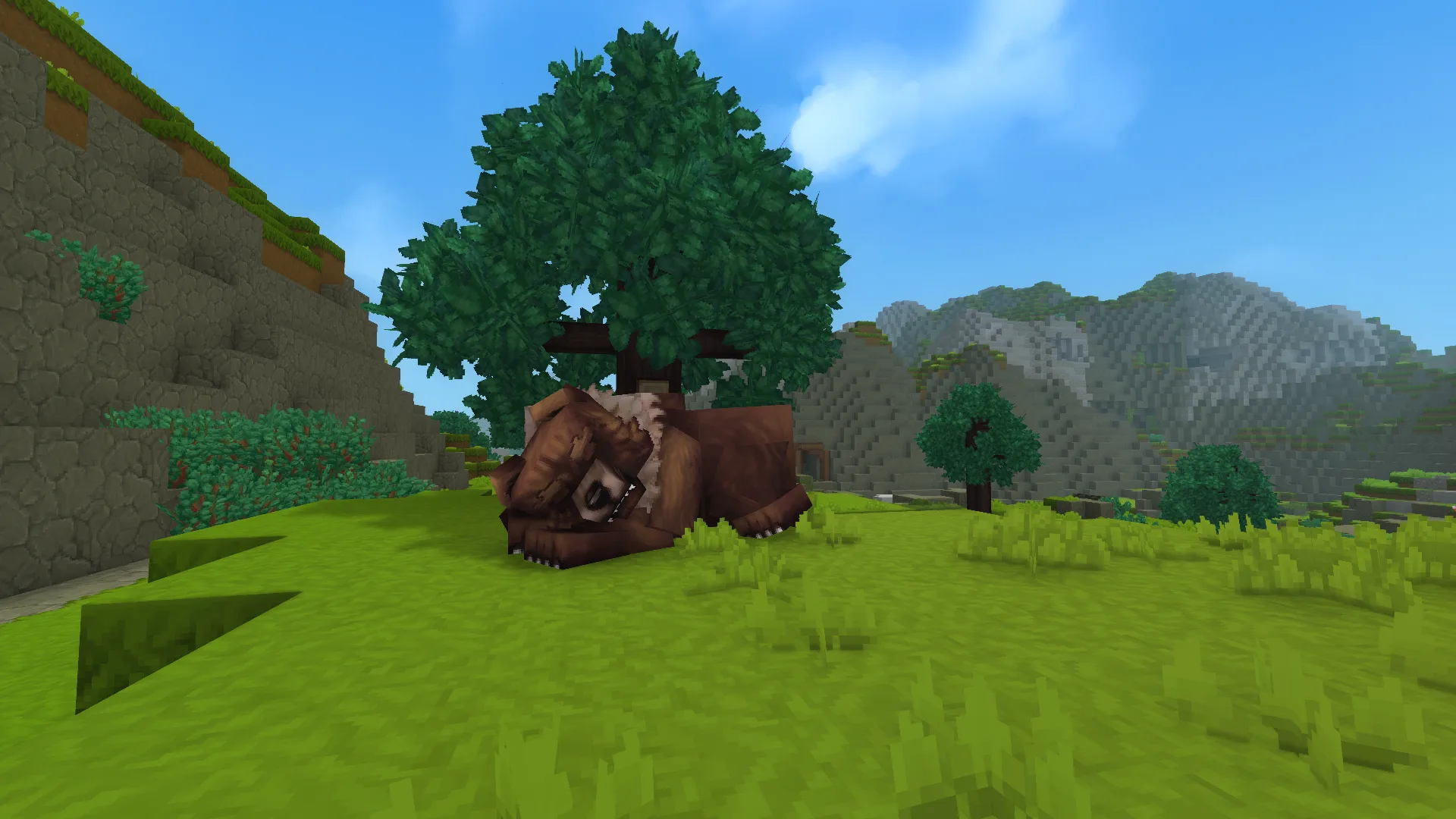Sleeping Grizzly